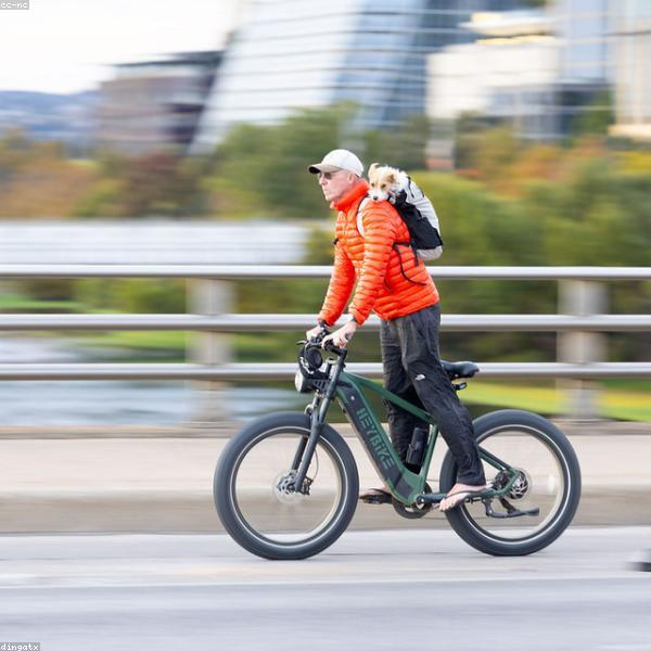 Ուսապարկներ